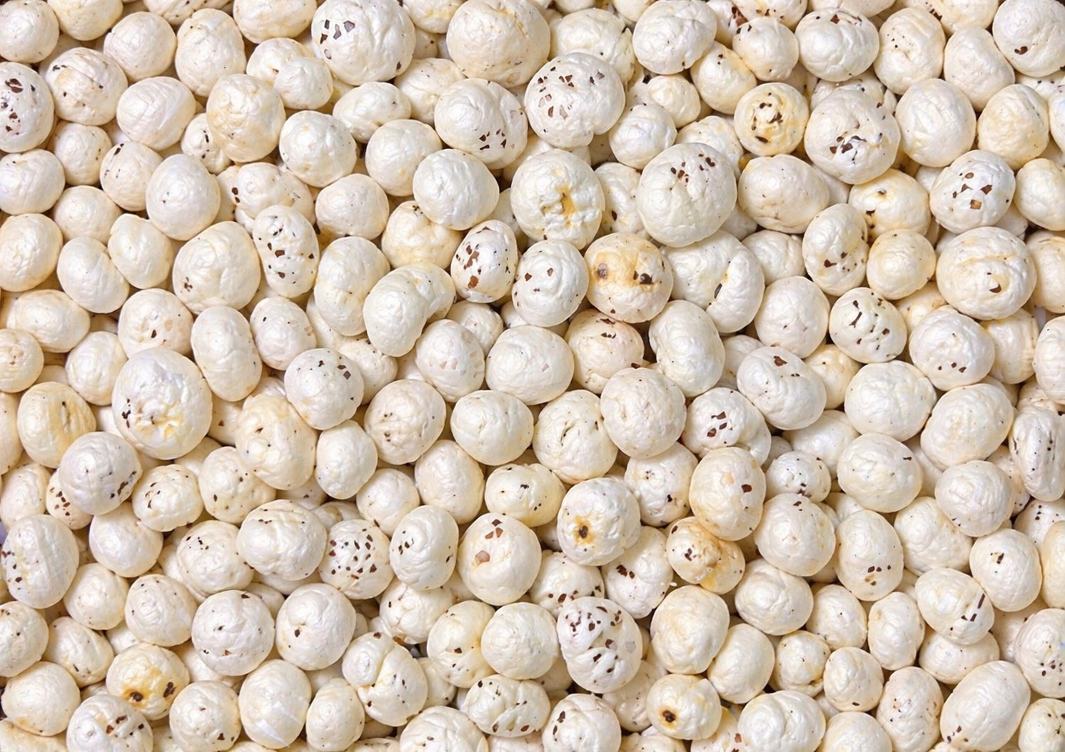 SnackPop Classic Raw Makhana 100gm